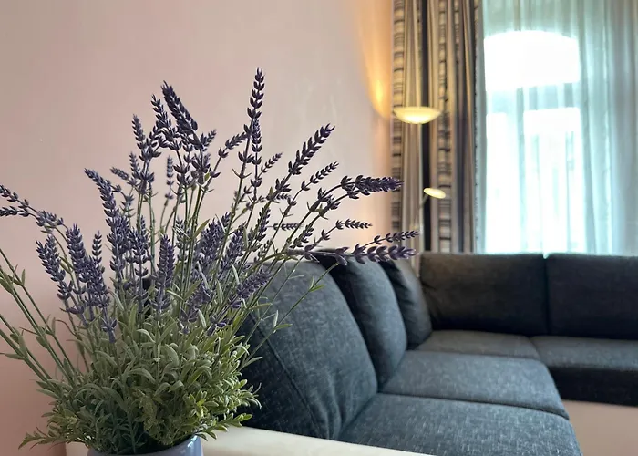 Apartment Zeyerova4